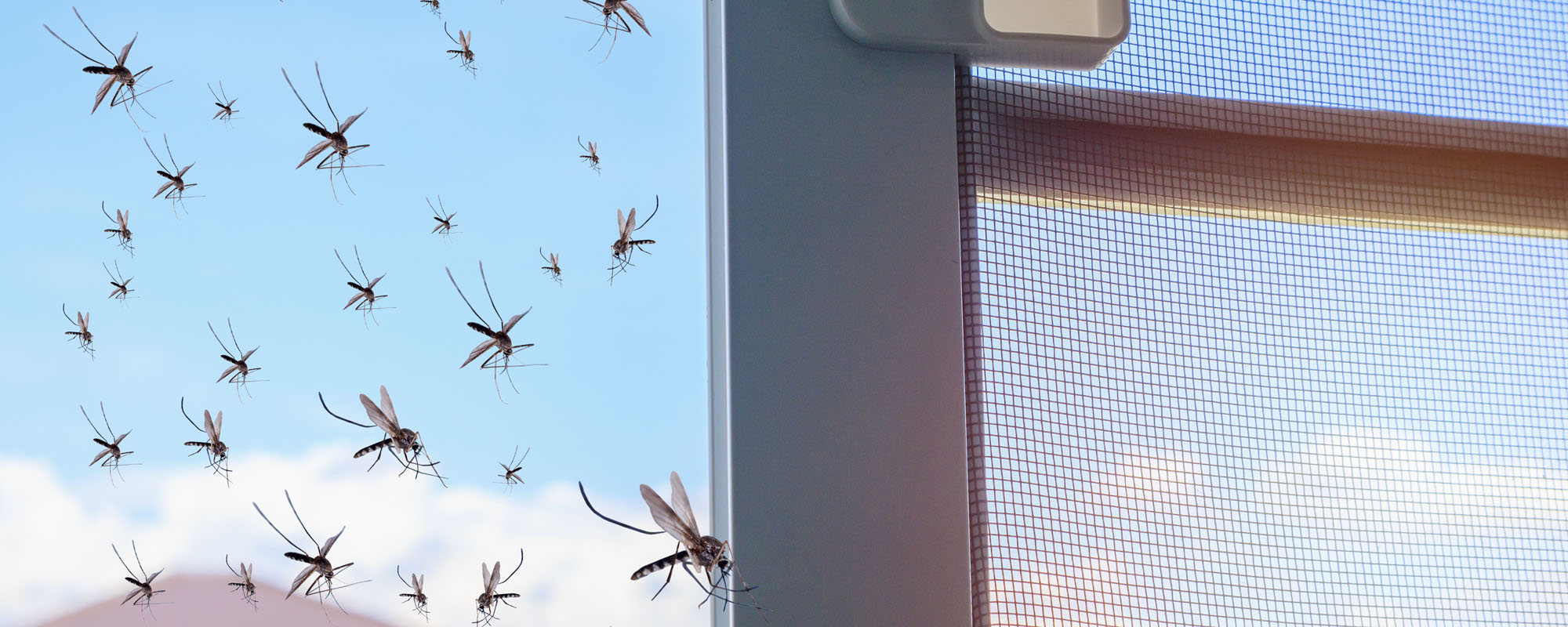 horren-mijnveranda-midden